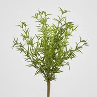 Real Touch Asparagus Fern Bush