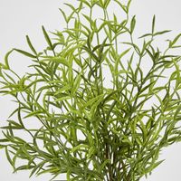 Real Touch Asparagus Fern Bush