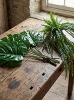 Huge Green Boston Fern Bush 52 leaves
