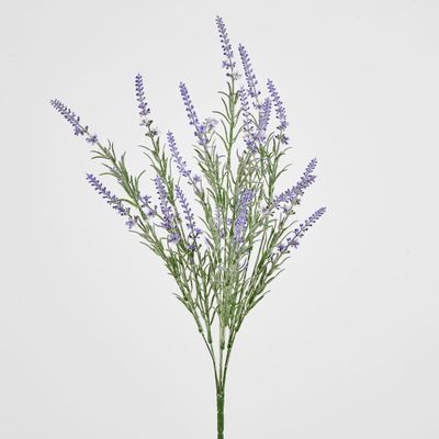 Lavender Spray Purple