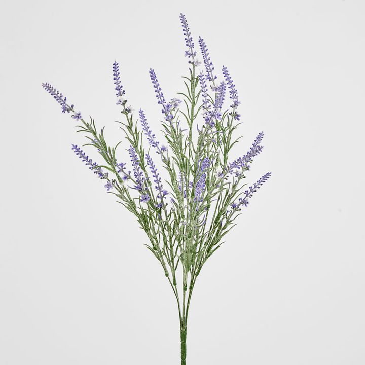 Lavender Spray Purple