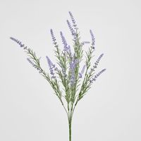 Lavender Spray Purple