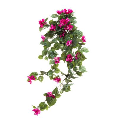 Bougainvillea Bush 90cm Magenta