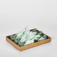 Spinky Clip on Bird Mint Green (Set of 6)