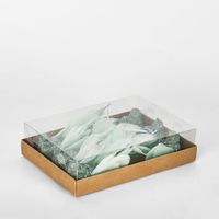 Spinky Clip on Bird Mint Green (Set of 6)