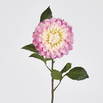 Single Ball Dahlia 74cm Yellow Pink