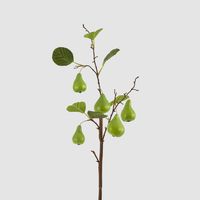 Pear Fruit Spray Green