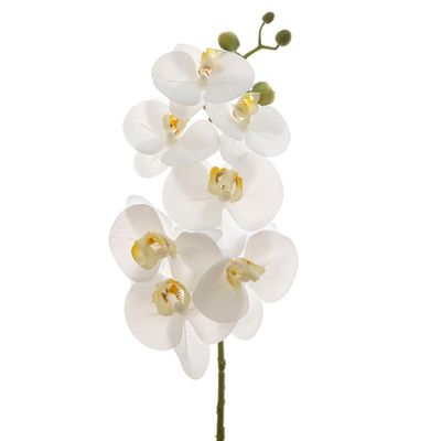 Orchid Phalaenopsis Spray Real Touch 70cm White