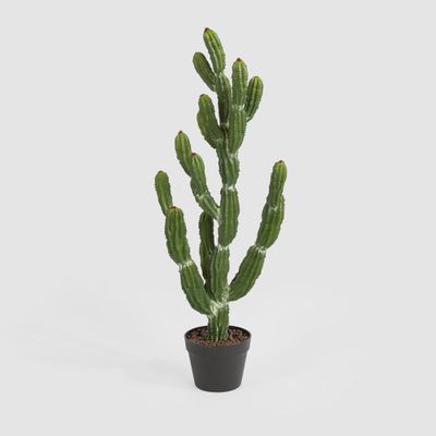 Potted Cactus 98cm