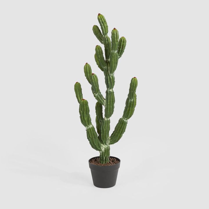 Potted Cactus 98cm