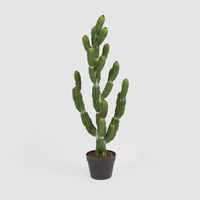Potted Cactus 98cm