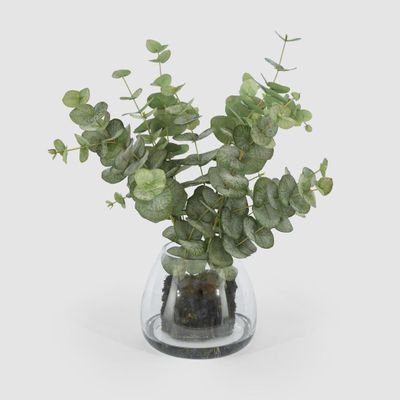 Eucalyptus Leaf Spray in Vase 59cm