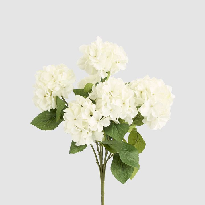 Hydrangea Bush With 7 Heads White