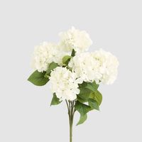 Hydrangea Bush With 7 Heads White