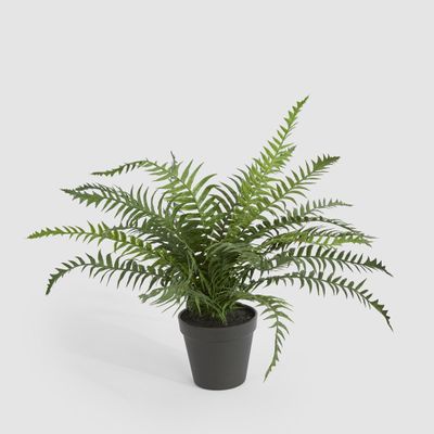 Potted Fern 40cm