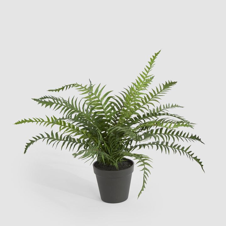 Potted Fern 40cm