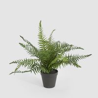 Potted Fern 40cm