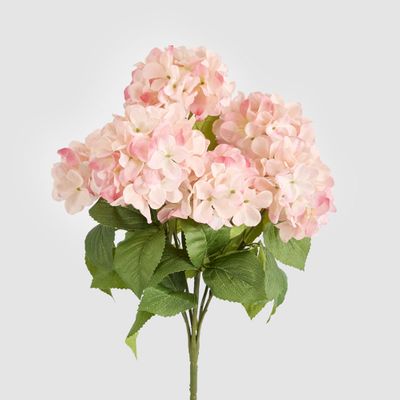Hydrangea Bush With 7 Heads Pink