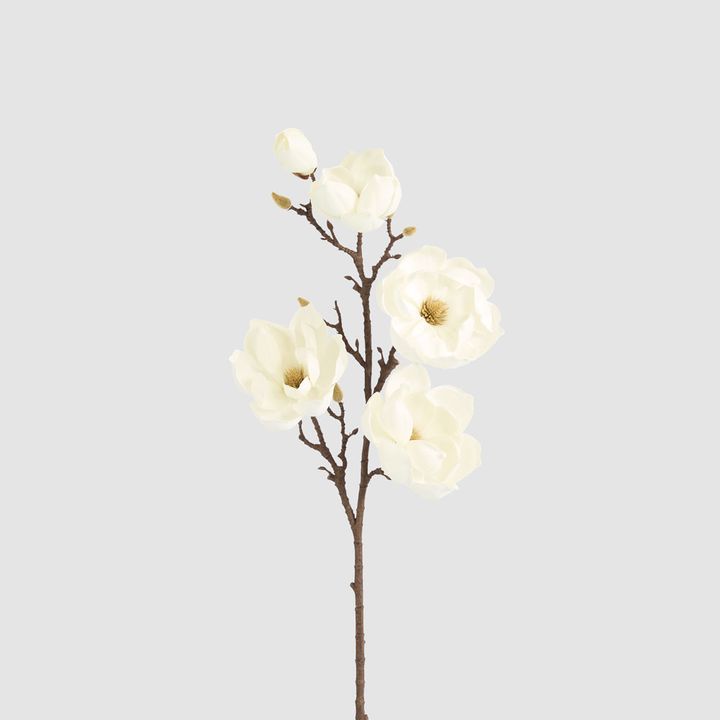 Magnolia Stem With 5 Flowers 102cm