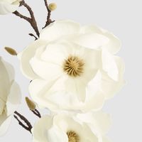 Magnolia Stem With 5 Flowers 102cm
