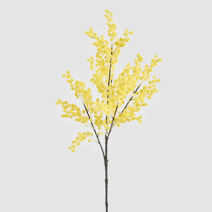 Mimosa Spray 78cm