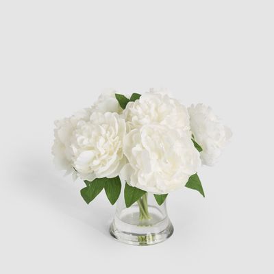 Peonies in Water Vase White