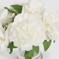 Peonies in Water Vase White
