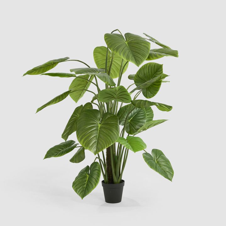 Real Touch Taro Tree 210cm