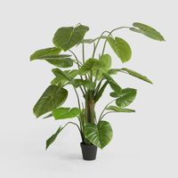Real Touch Taro Tree 210cm