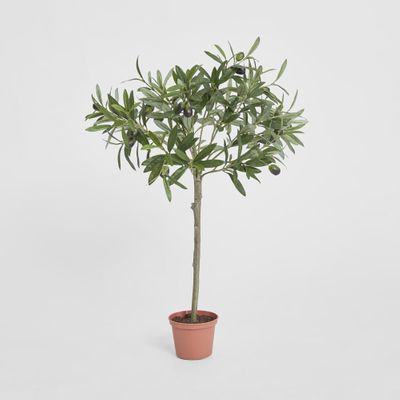 Olive Topiary 65cm