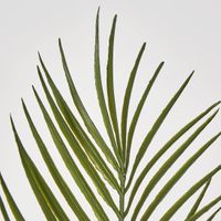 Areca Palm Leaf Spray Green