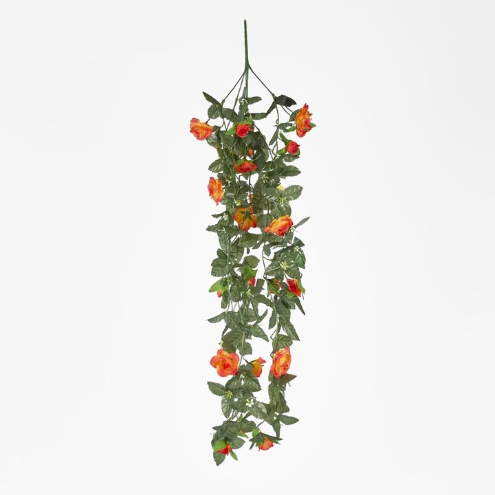 Hanging Rose Bush Orange