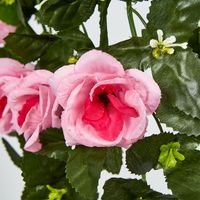 Hanging Rose Vine Pink
