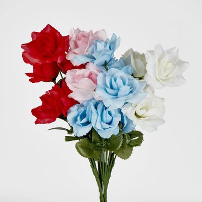 Rose Bush Asstd B Box of 60