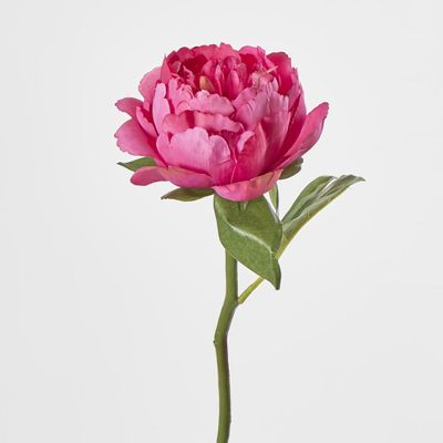 Peony Short Stem Dark Pink