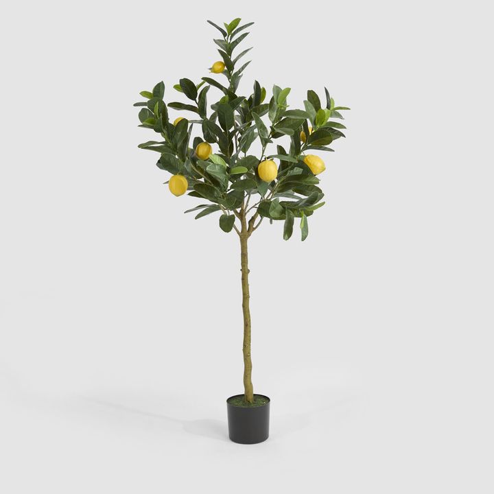 UV Lemon Tree 150cm