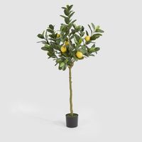 UV Lemon Tree 150cm