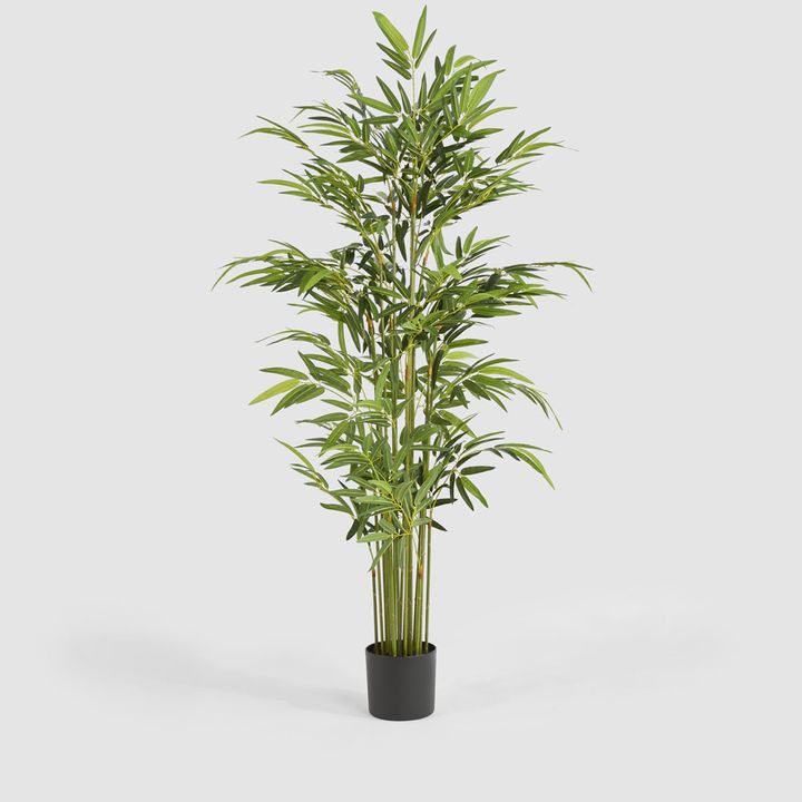 Real Touch Bamboo Tree 180cm