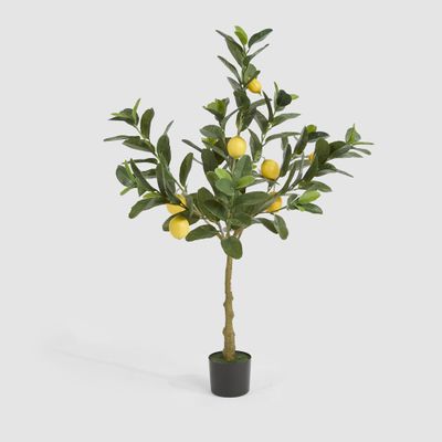 UV Lemon Tree 124cm