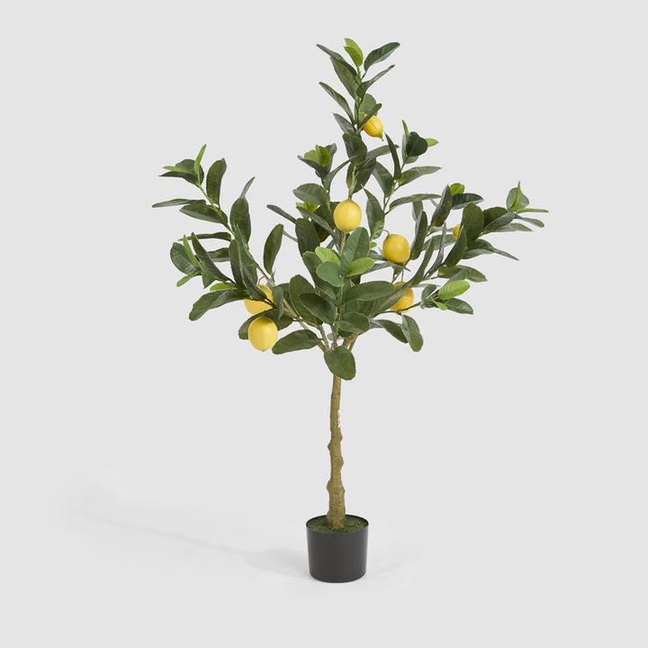 UV Lemon Tree 124cm