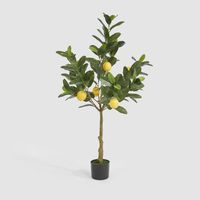 UV Lemon Tree 124cm