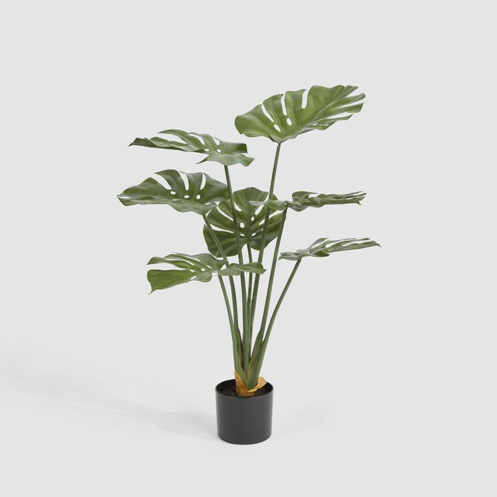 Real Touch Monstera Plant