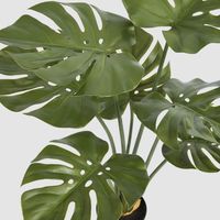 Real Touch Monstera Plant