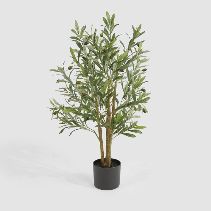 Potted Olive Tree 90cm