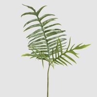 Philodendron Tortum Leaf Spray 81cm