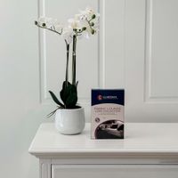 Fabric Lounge Care Pack 2-4 Seat