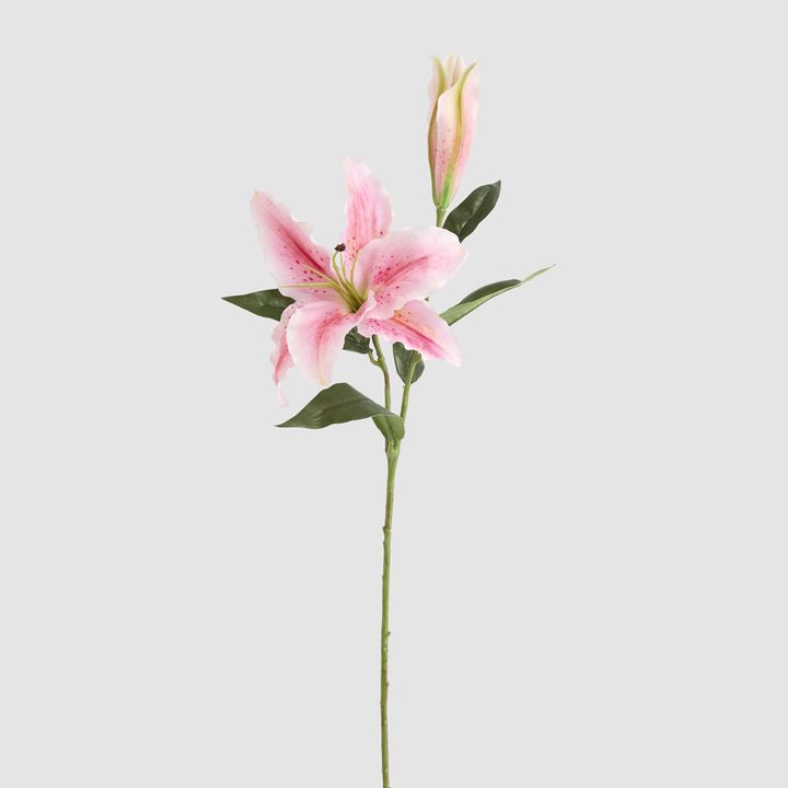 Casablanca 76cm Floral Stem Pink
