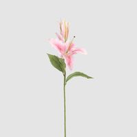 Casablanca 76cm Floral Stem Pink
