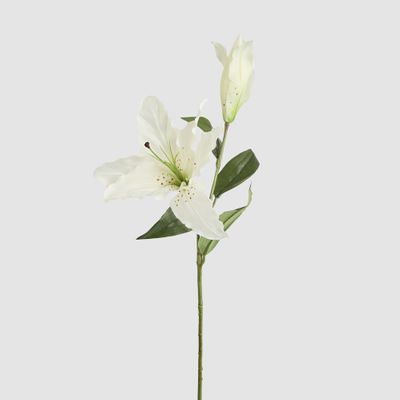 Casablanca 76cm Floral Stem White