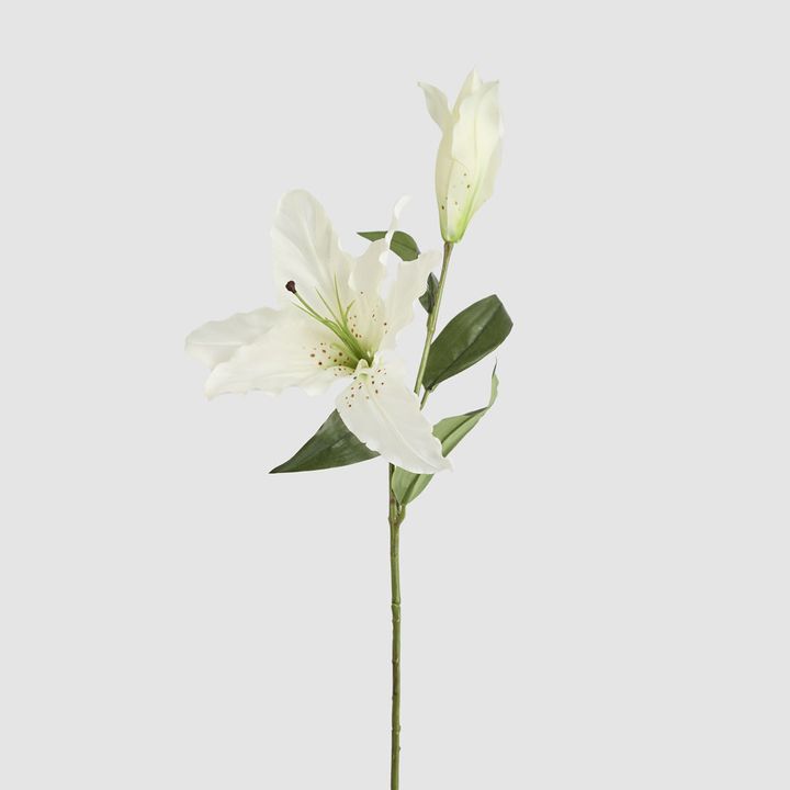 Casablanca 76cm Floral Stem White